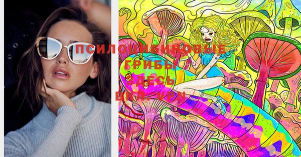 гашик Белокуриха