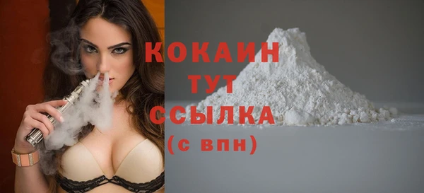 гашик Белокуриха