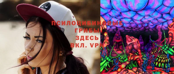 гашик Белокуриха