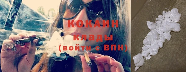 молекула духа Покров