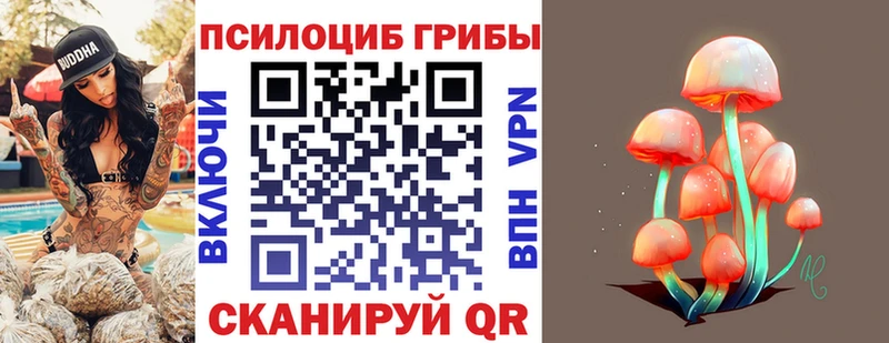 Галлюциногенные грибы мицелий mega как войти Воскресенск